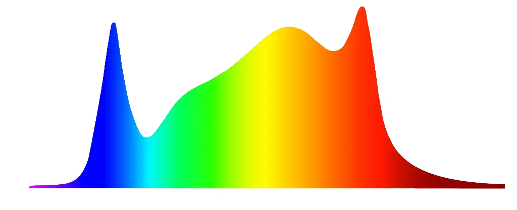 A1 Spectrum