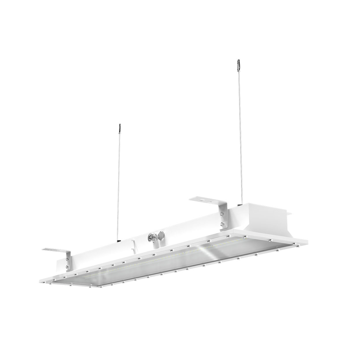 C1/D2 Troffer + NSF with Ceiling Mount