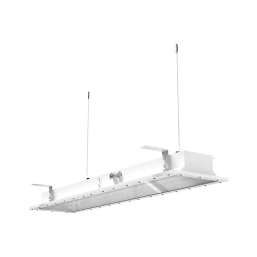 C1/D2 Troffer with Ceiling Mount