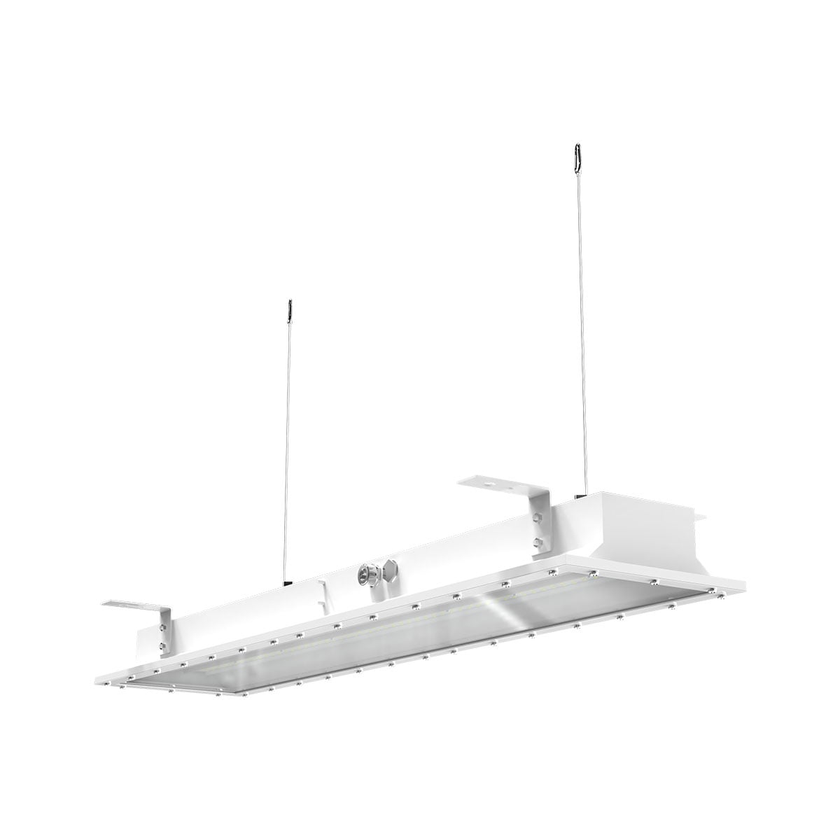 C1/D2 Troffer with Ceiling Mount