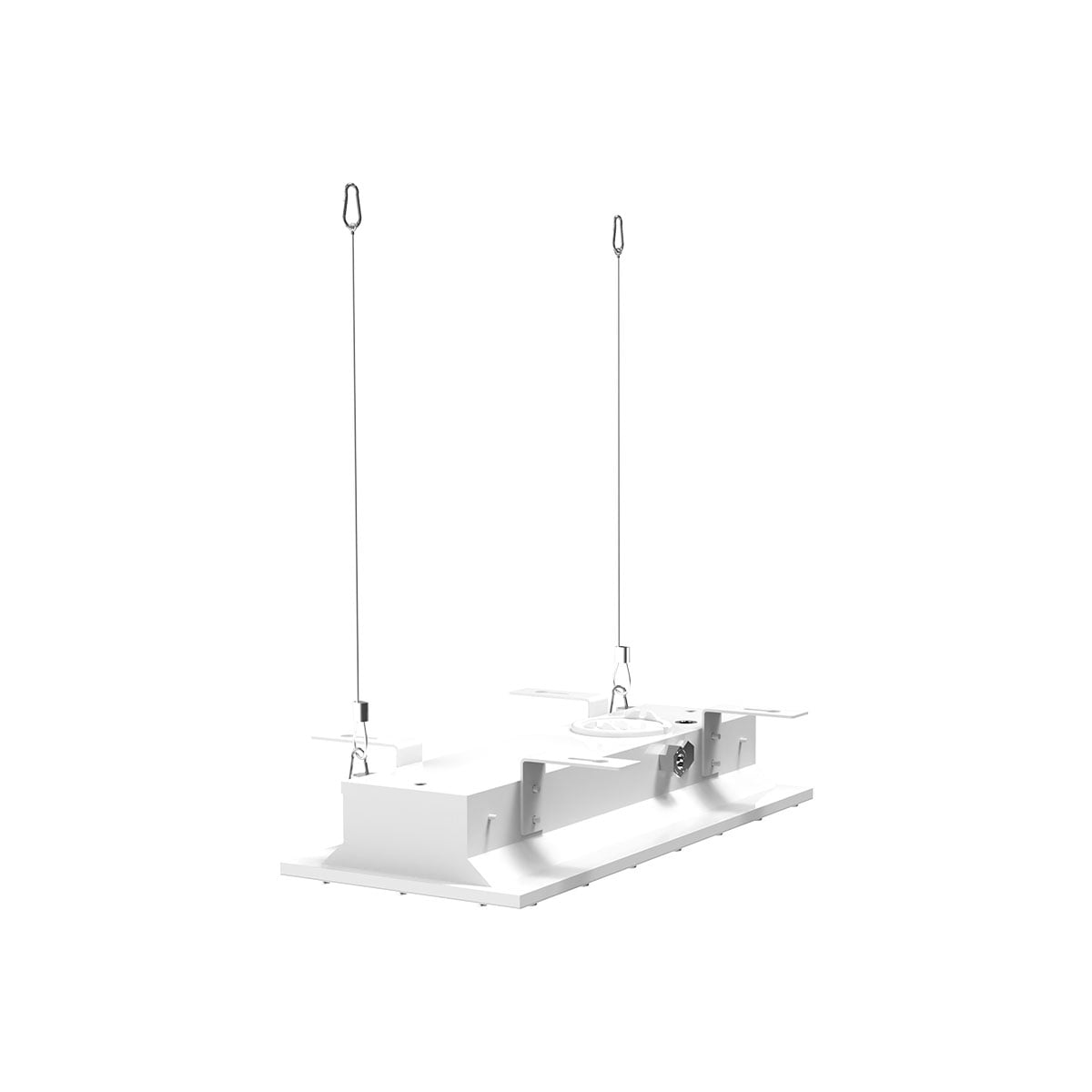 C1/D2 Troffer + NSF with Ceiling Mount