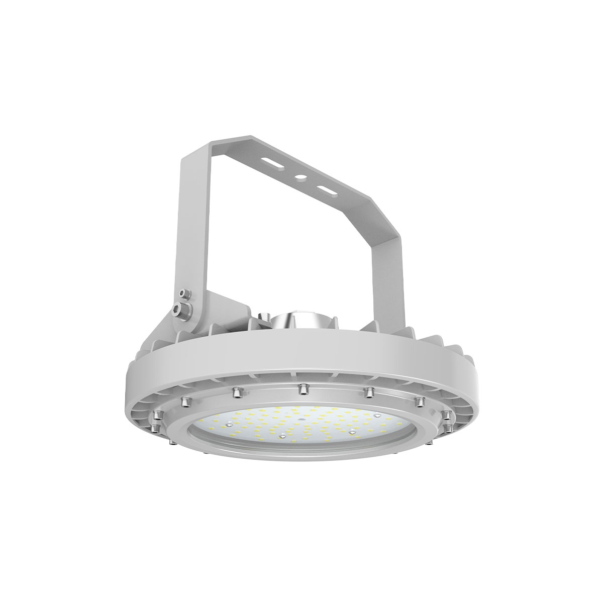 MaxTemp D1 with Pendant Mount